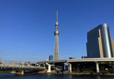 2020秋　東京スカイツリー開業8周年記念　50%OFFキャンペーンに行ってきた