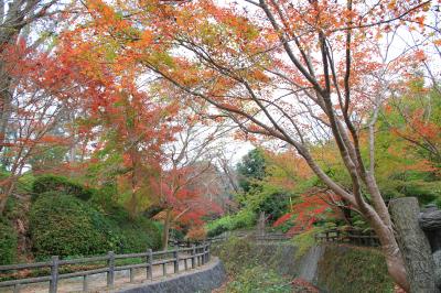 根来寺もみじ谷公園の紅葉