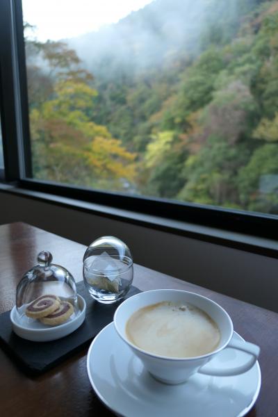 秋の伊豆旅♪　Vol.42　☆湯ヶ島温泉「アルカナイズ」：朝霧のかかる渓流とコーヒー♪