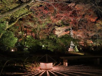 晩秋の京都ひとり旅「なごり紅葉」