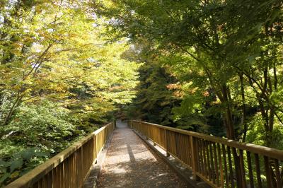 秋の伊豆旅♪　Vol.45　☆湯ヶ島温泉：美しい秋の湯道めぐり♪