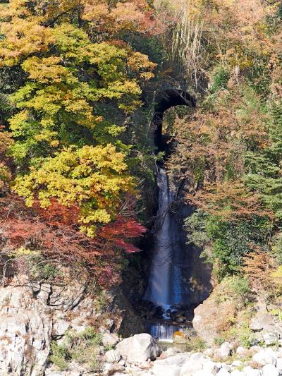 2020.11名古屋へのドライブ旅行3-中央道を中津川ICで降りる，国道19号線，道の駅賤母