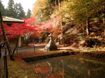 Goto滋賀・京都3日目☆紅葉見頃だった比叡山延暦寺・日吉大社・琵琶湖