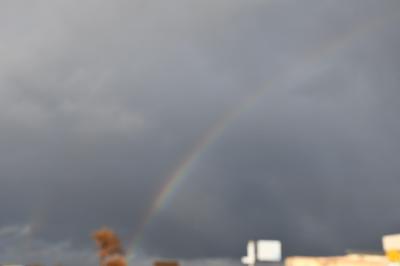 雨の鳥取砂丘