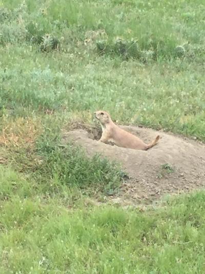 ノースダコタ州 セオドア ルーズベルト国立公園　ー　オールド イースト エントランス