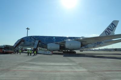 A380フライングホヌで行くハワイ…じゃなく遊覧飛行の旅