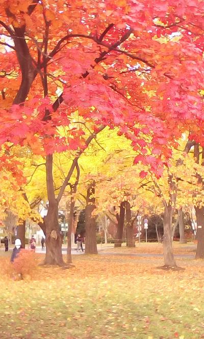 札幌へ紅葉を奏でに♪赤い蔦を追いかけて～「縁切り」とはなんぞや