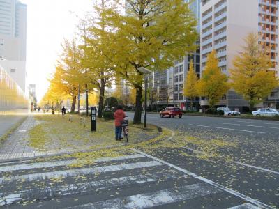 AERからの眺望と仙台駅周辺の散策