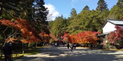 歩き過ぎの京都一人旅 3日目