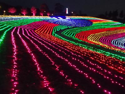 太田北部運動公園イルミネーション＆ぐんまこどもの国♪