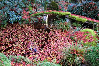 紅葉の天台宗湖東三山松峰山金剛輪寺と愛荘町立歴史文化博物館