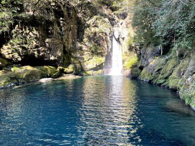 2020.12 【Go To Travel・vol.10】ヤフーANAパック×2《四万十の宿・オーベルジュ土佐山》高知温泉旅、2泊3日！