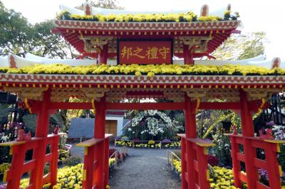 ０６．秋のエクシブ伊豆1泊　三島市立公園 楽寿園（らくじゅえん）