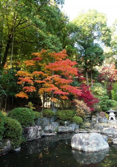 「泉龍院」の紅葉_2020_11月18日、色付きが進んでいました（群馬県・桐生市）