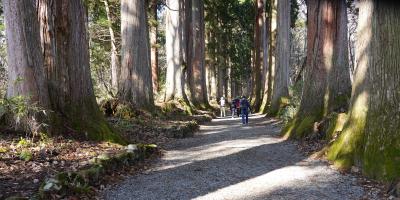 Japan　長野あるき　戸隠神社