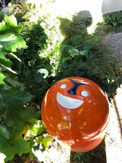 実は先月10か月ぶりに空を飛んできた（前編）：2020年11月東京の旅