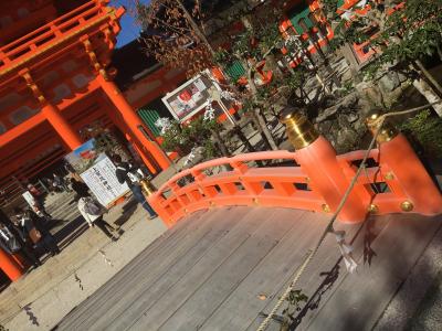 「歩き隊」続きの宝ヶ池～上賀茂神社～鴨川沿いを１６Kｍ徒歩で完歩