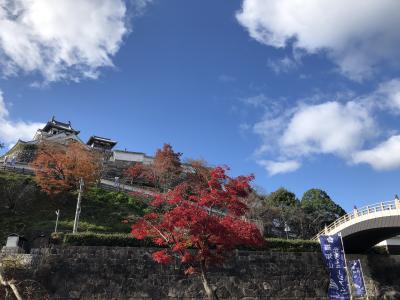 大所帯で竹野　カニ満腹旅2020