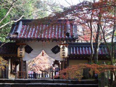 晩秋の鳰の湖-１（湖南・湖東）