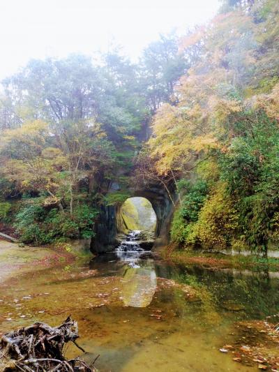 千葉の紅葉めぐり