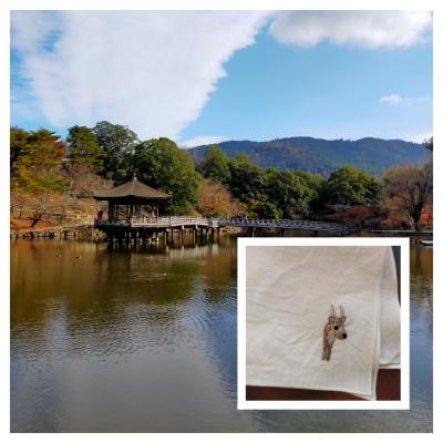 奈良市 一人旅 に関する旅行記 ブログ フォートラベル 奈良県