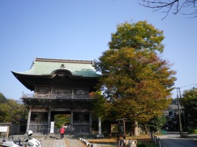 金沢文庫の称名寺で紅葉を見る