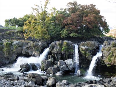 果たしてツレは楽しいのか?! Go to 伊豆の旅♪第3日目は地味に帰る土肥温泉～沼津  