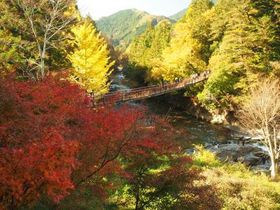 紅葉ハイキング　秋川渓谷から広徳寺の大銀杏