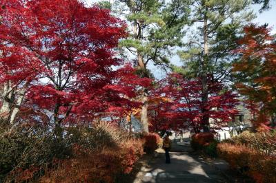 ０８．秋のエクシブ山中湖1泊　山中湖畔のドライブ　山中湖畔の紅葉その１