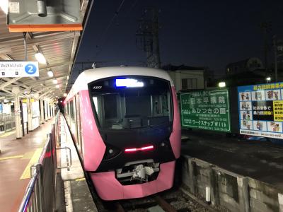 2020年12月東海鉄道旅行5（静岡鉄道）