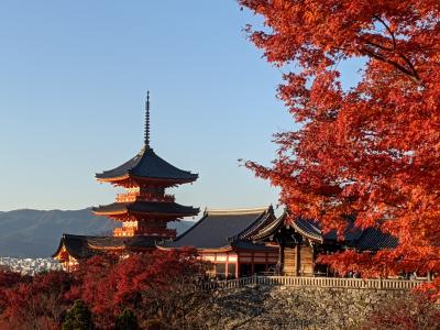 【京都】晩秋の京都～③八坂庚申堂、清水寺