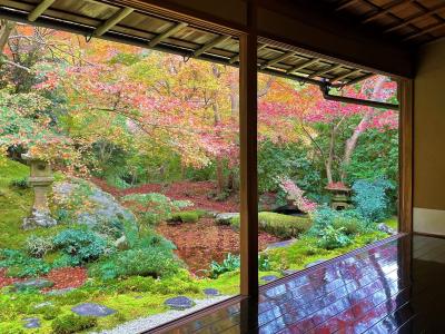 朝観光（32-3） 京都の紅葉（上高野）