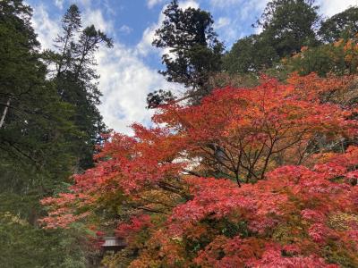 一人でバスツアー。一度行ってみたかった日光・鬼怒川・長瀞。
