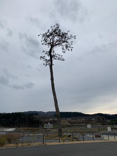 復興から未来へ　三陸の旅 ①