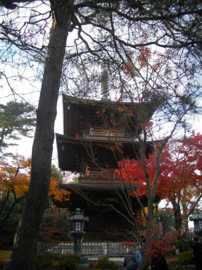 晩秋の豪徳寺と松陰神社