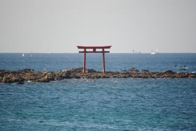 県内旅行で鎌倉から葉山へ。③billsで朝食～森戸神社