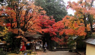 2020 永源寺・西明寺の紅葉