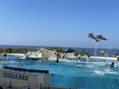 2020年11月 GoToトラベル@沖縄(前編:沖縄は夏だった)