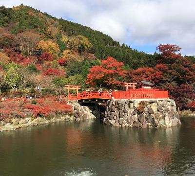 西国三十三所巡り：第十三番勝尾寺