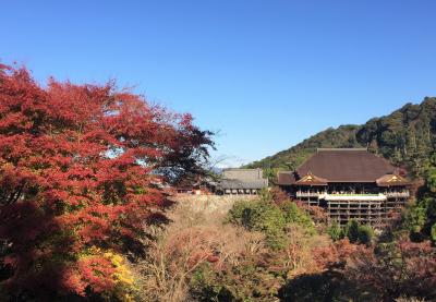 西国三十三所巡り：第二十番善峯寺：第十六番清水寺