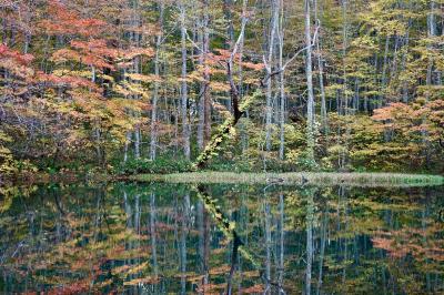 北東北紀行ー目標「紅葉の奥入瀬渓谷の散策」3日目　酸ヶ湯ー蔦温泉沼めぐりー御鼻部山ー青森市