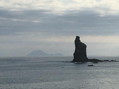 gotoやら何やら使って週末鹿児島