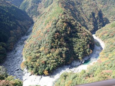 初めての四国へ・・３日目大歩危小歩危かずら橋を経由して高知へ♪