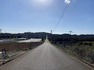 飛行機に乗りたい！Gotoトラベルで九州旅行-3 佐賀県編　2日目  活きイカ食べに呼子