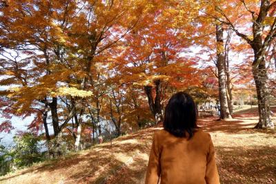 ０９．秋のエクシブ山中湖1泊　山中湖畔の紅葉その２　山中湖夕焼けの渚・紅葉まつり