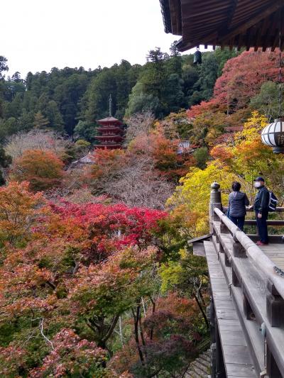 退職記念旅行第2弾：　奈良・和歌山を尋ねる（1日目）