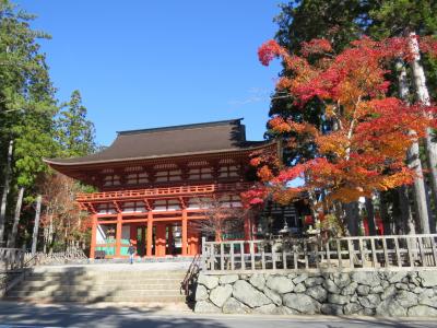 退職記念旅行第2弾：　奈良・和歌山を尋ねる（2日目・3日目）