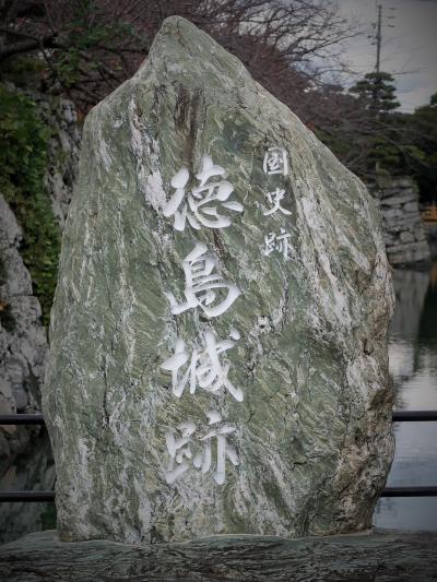 徳島-3　城山-徳島城本丸跡-　探訪　☆長い石段-原生林の森-頂上部（標高61m）広々と