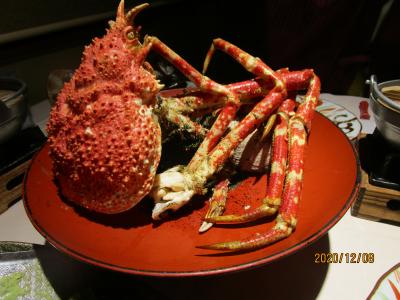 戸田 タカアシガニ に関する旅行記 ブログ フォートラベル 静岡県 戸田 タカアシガニ に関する旅行記 ブログ フォートラベル 静岡県