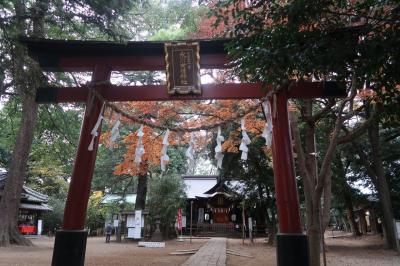 武蔵一宮　氷川三社めぐり